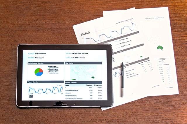 Government Data Analytics